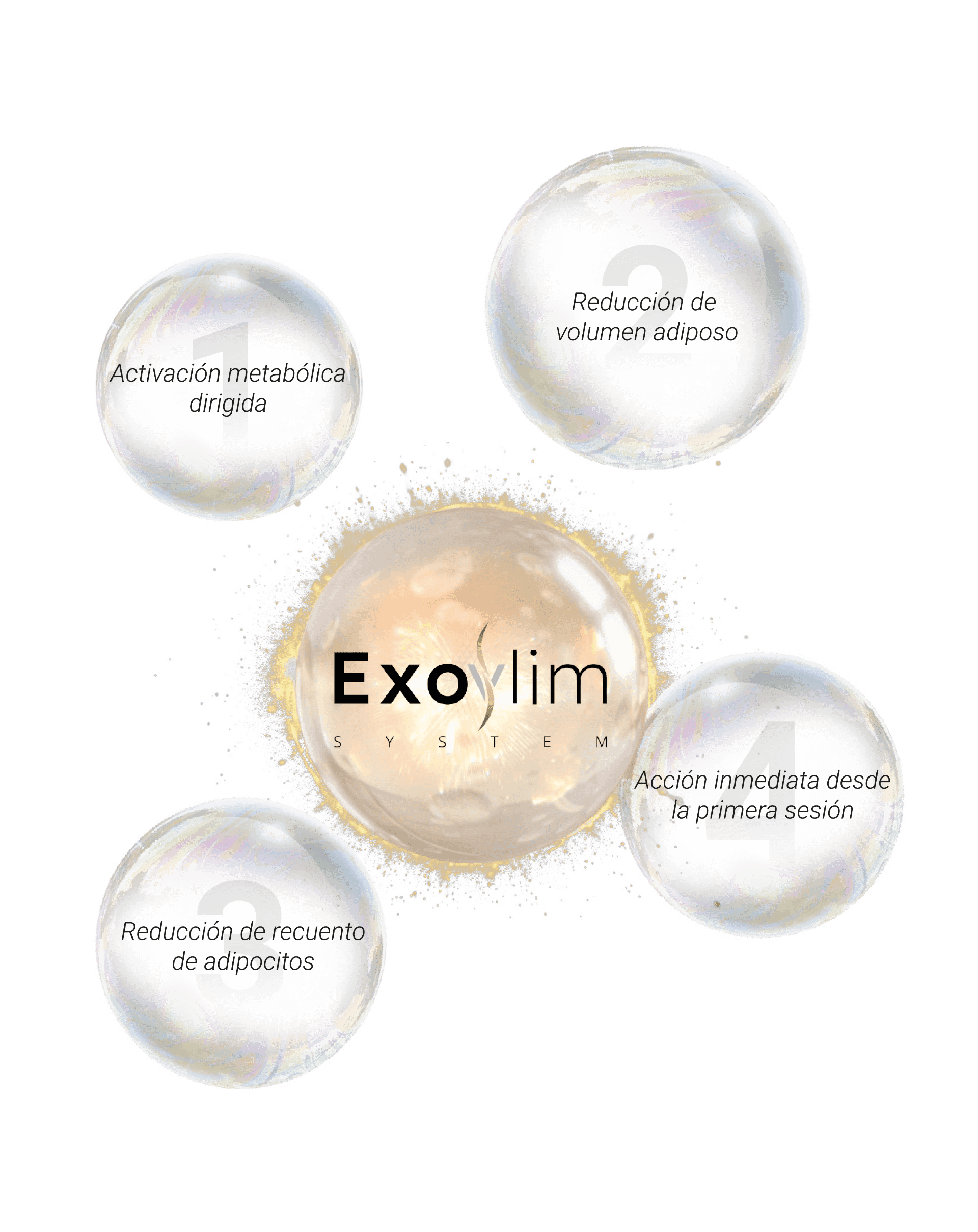 ExoSlim Sistema